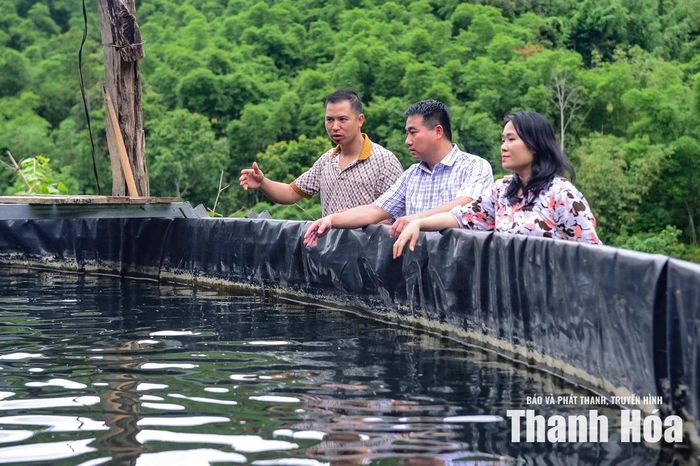 Đánh giá về mô hình, ông Lương Văn Hiếu (người ở giữa), Phó Chủ tịch UBND xã Sơn Điện, cho biết: “Đây là mô hình tiên phong trong nuôi cá tầm trên địa bàn, mang lại hiệu quả kinh tế cao và phát huy tốt lợi thế nguồn nước tự nhiên của địa phương. Thành công của HTX không chỉ tạo sinh kế cho người dân mà còn mở ra hướng phát triển mới cho nông nghiệp vùng cao. Thời gian tới, địa phương sẽ tiếp tục tuyên truyền, khuyến khích nhân rộng các mô hình sản xuất ứng dụng khoa học kỹ thuật, khai thác hiệu quả tiềm năng sẵn có để nâng cao thu nhập cho người dân.”