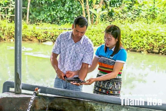 Giữa đại ngàn phía tây xứ Thanh, hành trình khởi nghiệp của vợ chồng anh Phạm Ngọc Thanh và chị Lương Thị Lực là minh chứng sinh động rằng, khi biết nhìn thấy giá trị trong chính những điều tưởng như bình dị nhất, những dòng suối lạnh cũng có thể trở thành khởi nguồn của một thương hiệu OCOP. Từ lợi thế bản địa, bằng tư duy đổi mới và sự bền bỉ, đôi vợ chồng trẻ đã không chỉ làm giàu cho gia đình mà còn góp phần mở ra hướng phát triển kinh tế bền vững cho vùng cao Sơn Điện.