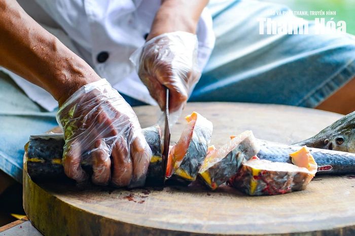 Không chỉ dừng lại ở việc nuôi trồng, cá tầm Thanh Lực được sơ chế kỹ lưỡng ngay tại trang trại để đảm bảo giữ trọn vị tươi ngon thuần khiết của dòng suối lạnh Sơn Điện.