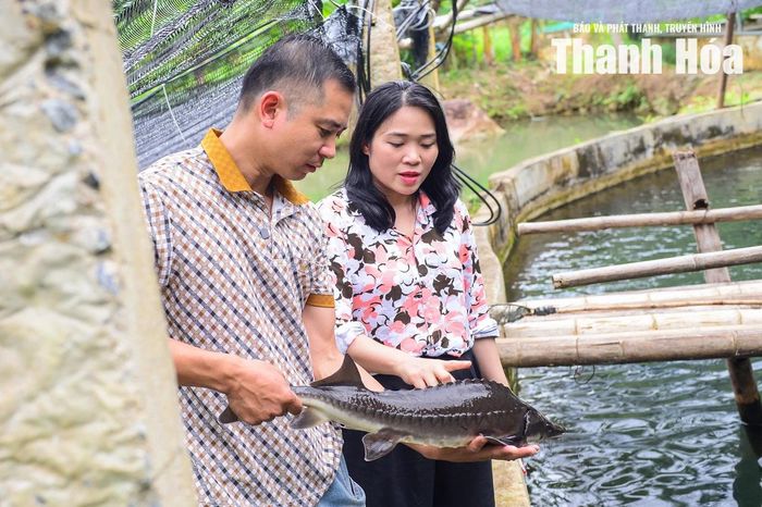 Anh Phạm Ngọc Thanh chia sẻ: “Nuôi cá tầm giống như chăm trẻ nhỏ. Chỉ cần lơ là một chút là thiệt hại rất lớn. Nhưng chính điều đó buộc mình phải không ngừng học hỏi, ứng dụng kỹ thuật mới để kiểm soát môi trường nước và phát triển nghề nuôi một cách bền vững. Chúng tôi tin rằng lợi thế lớn nhất của Sơn Điện chính là nguồn nước lạnh tự nhiên và phải biết khai thác đúng cách.”