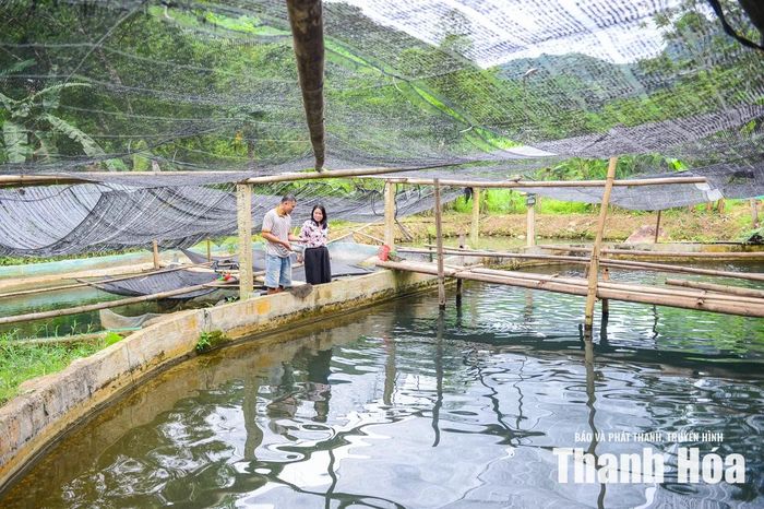 Năm 2019, sau thời gian gắn bó với nghề sản xuất chân hương từ nguồn nguyên liệu sẵn có của địa phương, hai vợ chồng vẫn luôn trăn trở tìm một hướng đi có thể khai thác hiệu quả hơn những lợi thế mà thiên nhiên Sơn Điện ban tặng. Trong một lần men theo suối Sủa, anh Thanh nhận ra dòng nước trong vắt, mát lạnh quanh năm cùng điều kiện khí hậu đặc trưng nơi đây rất phù hợp để nuôi cá tầm - loài thủy sản có giá trị kinh tế cao nhưng nổi tiếng “khó tính”.