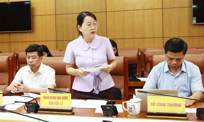 Đại biểu đại diện Ngân hàng Nhà nước khu vực 12 phát biểu ý kiến.