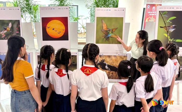 Học sinh tìm hiểu hệ sinh thái tại ngày hội Đa dạng sinh học 2026 phường Hải Châu. Ảnh: NGỌC HÀ