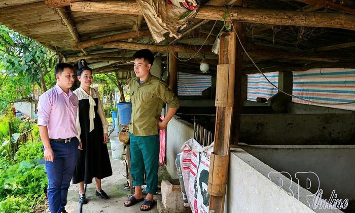 Nguồn vốn tín dụng chính sách giúp nhiều hộ dân xã Tuần Giáo phát triển sản xuất, chăn nuôi.