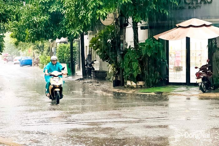 Người dân di chuyển trong cơn mưa chiều 29-7. Ảnh: Kim Liễu