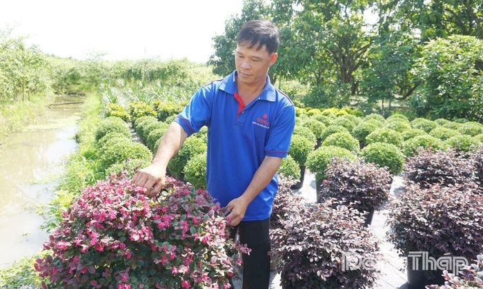 Anh Nguyễn Tuấn Cường phát triển vườn hoa kiểng từ nguồn vốn hỗ trợ sinh kế, từng bước vươn lên thoát nghèo.