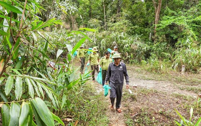  Trung tâm Cứu hộ, Bảo tồn và Phát triển sinh vật tái thả động vật rừng về môi trường tự nhiên sinh sống. Ảnh: V.T 