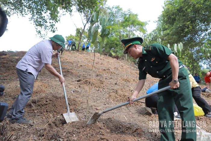 Lãnh đạo Sở Ngoại vụ và lãnh đạo Đồn Biên phòng Pò Mã trồng cây quế thuộc mô hình "Vườn cây kiểu mẫu" tại xã Quốc Khánh