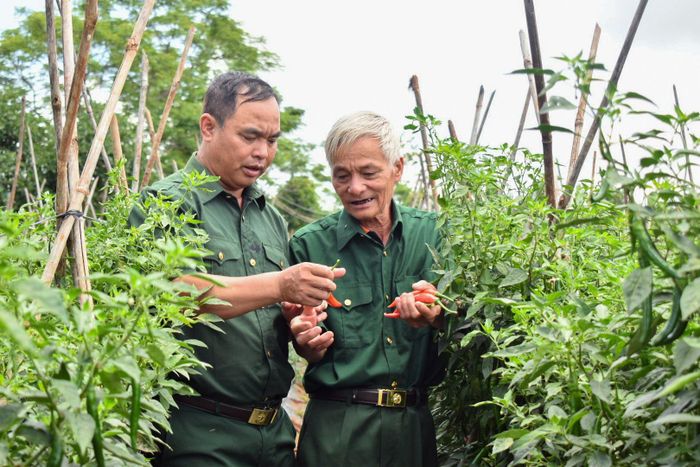 Nguồn vốn vay ưu đãi trở thành “bước đệm” giúp CCB tự tin phát triển kinh tế