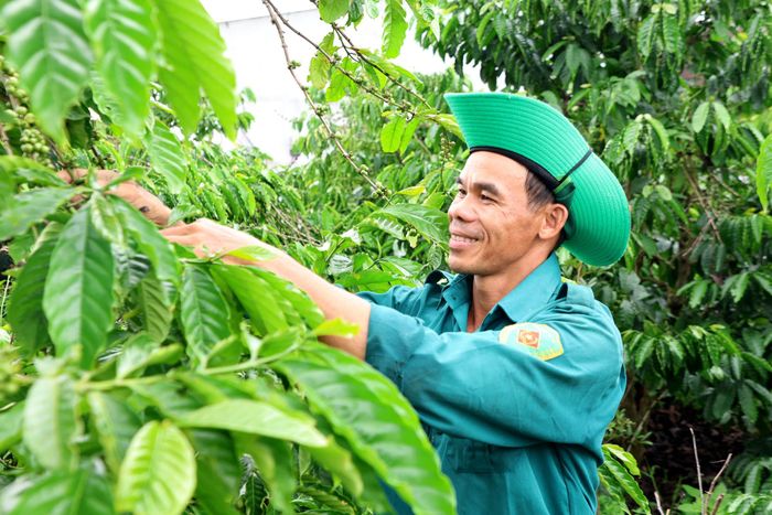 Năm 2026, xã Krông Nô đặt mục tiêu giảm 1,92%, tương đương 115 hộ