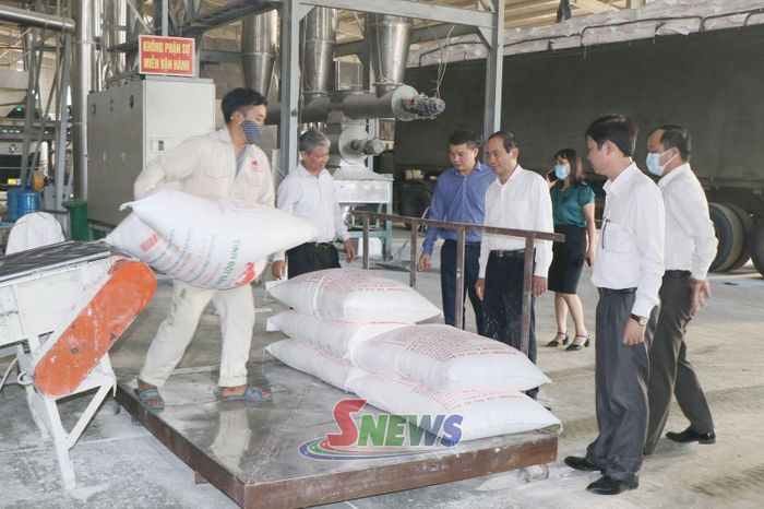 Lãnh đạo Hiệp hội nắm tình hình sản xuất tại Công ty CP chế biến nông sản BHL Sơn La.