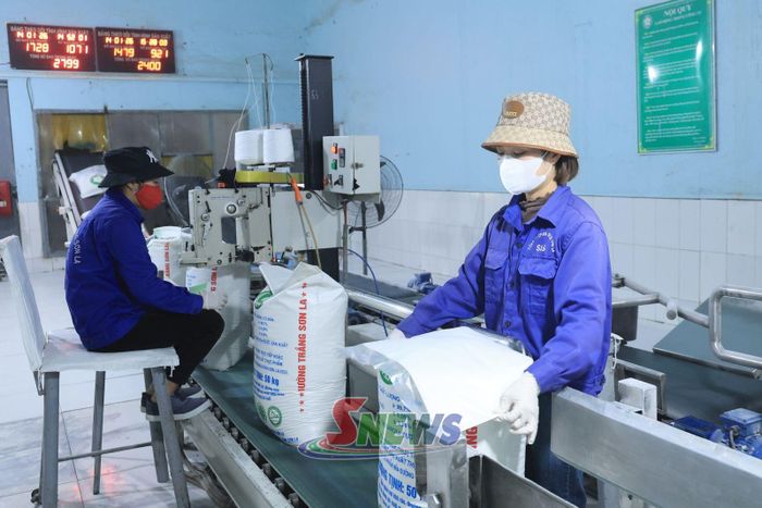 Công nhân Công ty CP Mía đường Sơn La, xã Mai Sơn đóng gói sản phẩm.