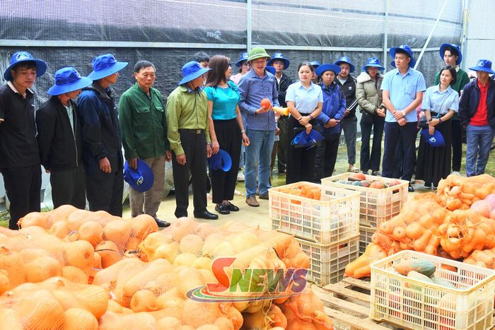 Các đại biểu tham quan, tìm hiểu sản phẩm bí sản xuất theo hướng hữu cơ tại HTX Nông Xanh, xã Vân Hồ.