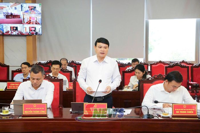 Đồng chí Phó Chủ tịch UBND tỉnh phát biểu tại phiên họp.