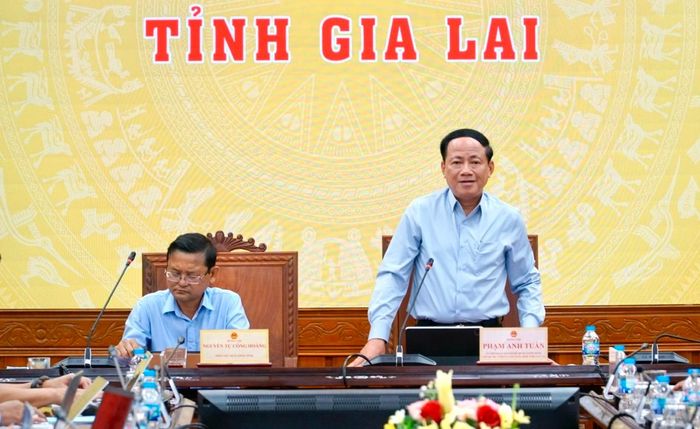Chủ tịch UBND tỉnh Phạm Anh Tuấn.