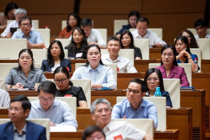 Các đại biểu dự Hội nghị. Ảnh: Phạm Thắng