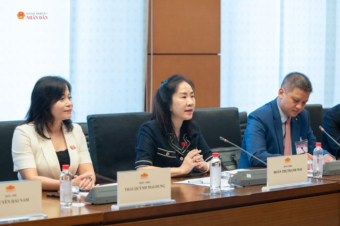Phó Chủ nhiệm Ủy ban Kinh tế và Tài chính Đoàn Thị Thanh Mai phát biểu