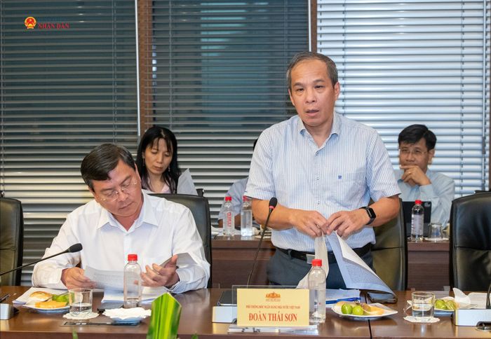Phó Thống đốc Ngân hàng Nhà nước Đoàn Thái Sơn phát biểu