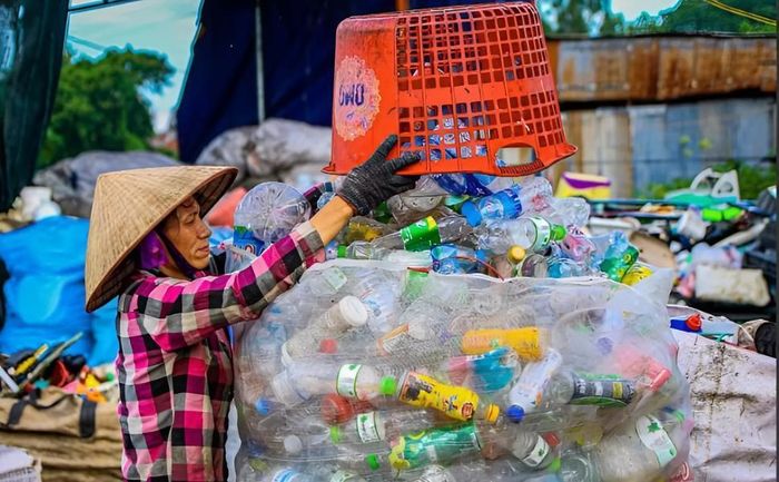 Người thu gom rác phi chính thức chính là "tuyến phòng thủ" đầu tiên ngăn rác hữu cơ và nhựa phân hủy sớm