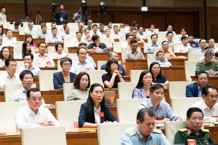 Các đại biểu dự hội nghị.