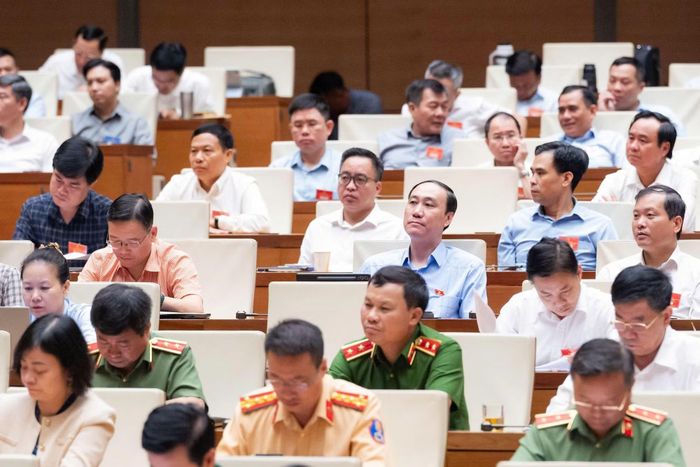 Các đại biểu dự hội nghị.