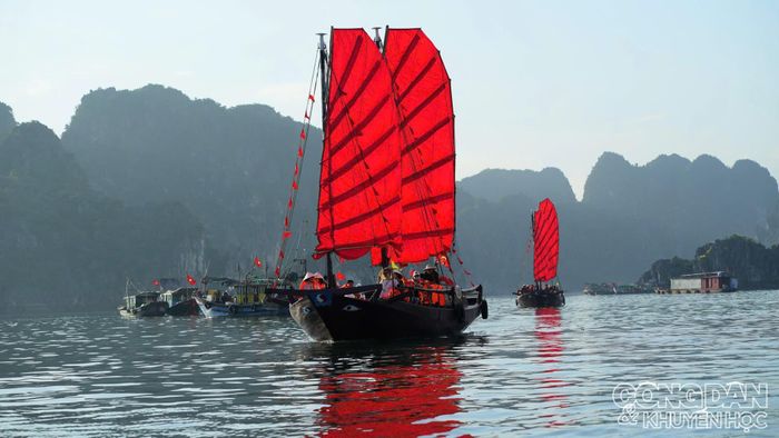 Cánh buồm đỏ thắm nổi bật trện sóng nước. Ảnh: CK