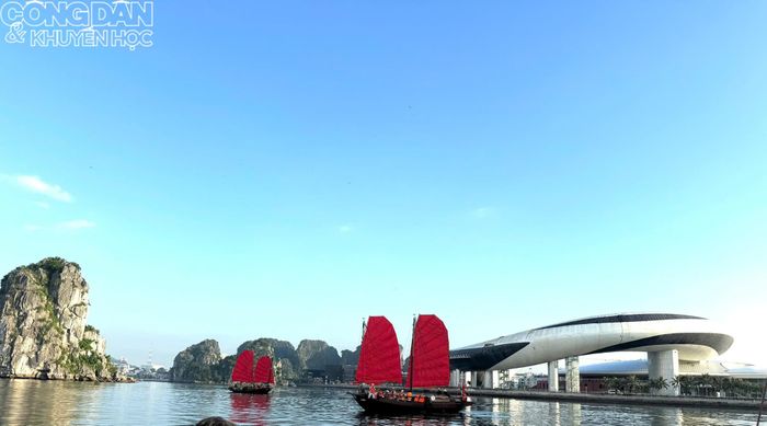 Ngồi trên thuyền ba vách được ngắm các công trình quen thuộc dưới một góc nhìn khác. Ảnh: CK