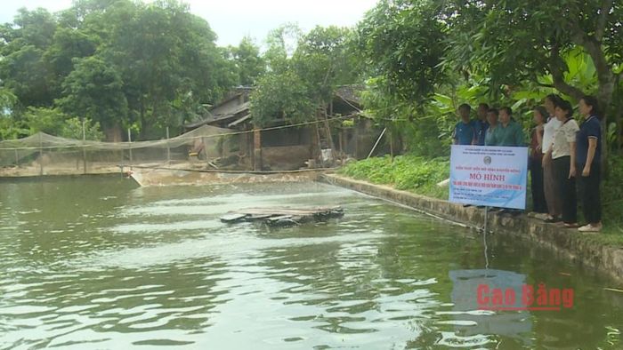 Lãnh đạo UBND xã và Trung tâm Khuyến nông và Giống nông lâm nghiệp tỉnh kiểm tra mô hình nuôi cá sau mỗi đợt mưa lũ.