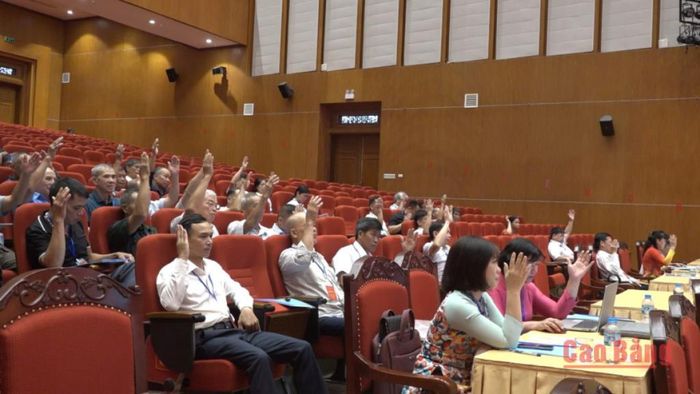 Các đại biểu biểu quyết Đề án cơ cấu Ban Chấp hành Hội Bảo vệ môi trường và Làm vườn nhiệm kỳ 2026 - 2031.