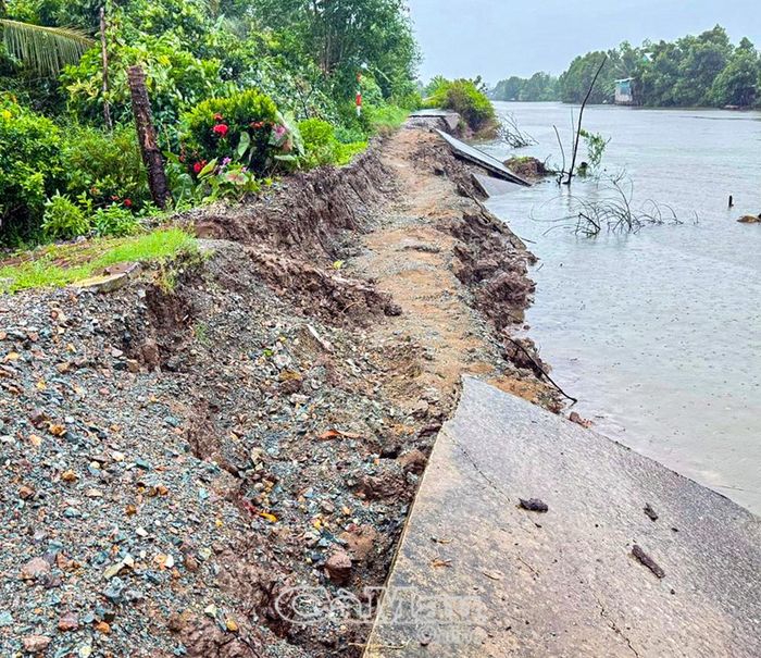 Đoạn lộ bê tông dọc kênh xáng Lương Thế Trân (Phường Lý Văn Lâm) bị hư hại hoàn toàn do sạt lở.