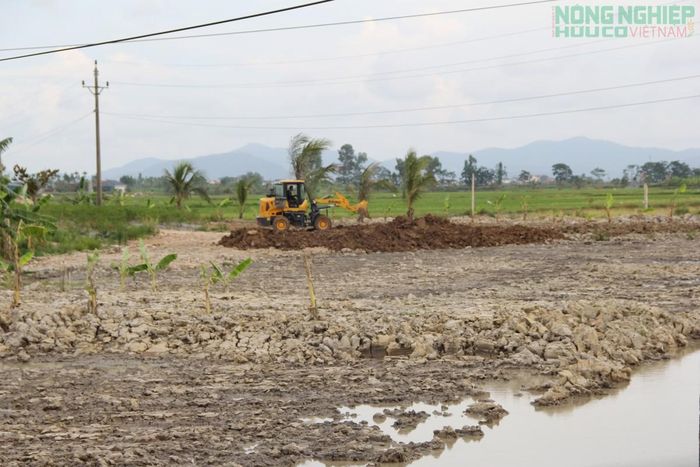 Hàng nghìn m2 đã được hộ gia đình tự ý san lấp. (Ảnh tư liệu)