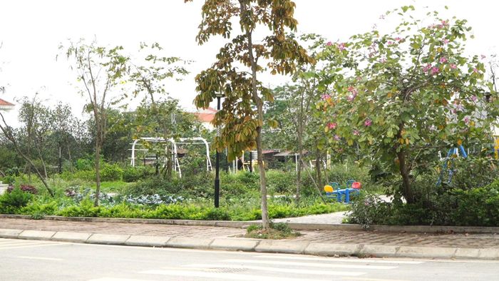 Hạ tầng khu tái định cư Lò Ngói dần đồng bộ, tạo không gian sống xanh cho người dân. Ảnh: Đỗ Duẩn