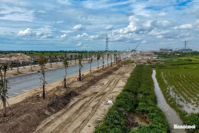 Không chỉ đáp ứng nhu cầu kết nối giao thông, đại lộ rộng 120 mét cùng hàng nghìn cây hoa ban đang góp phần kiến tạo diện mạo xanh, hiện đại và giàu bản sắc, hứa hẹn trở thành một trong những trục cảnh quan ấn tượng của khu vực phía Nam Hà Nội trong tương lai.