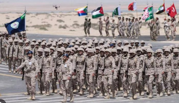 Chuyên gia Ian Ralby cho rằng nếu Houthi mở rộng hoạt động sang biển Đỏ, eo biển Bab el-Mandeb, vịnh Aden, Địa Trung Hải hoặc Ấn Độ Dương, nguy cơ đối với an ninh hàng hải sẽ gia tăng đáng kể.