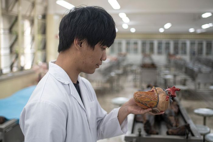  Sinh viên năm nhất Trần Vũ Nhật Nam học tập xen lẫn giải phẫu trên thi hài người thật và giải phẫu trên mô hình. 