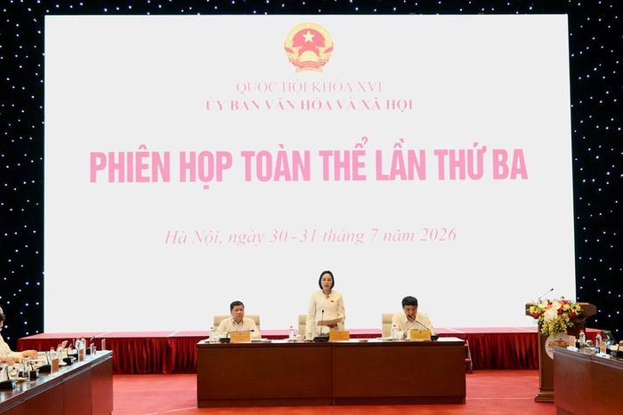 Phiên họp toàn thể lần thứ ba của Ủy ban Văn hóa và Xã hội của Quốc hội