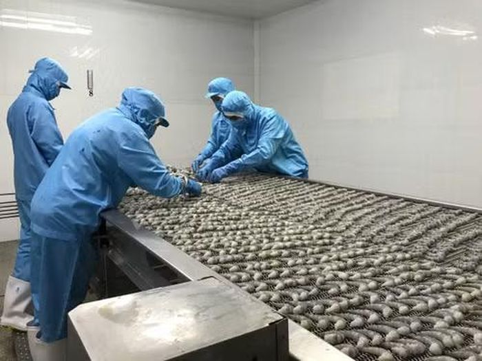 Cộng đồng doanh nghiệp mong muốn việc rà soát, cắt giảm điều kiện kinh doanh được đi vào thực chất. (Ảnh minh họa: ĐỖ BẢO)