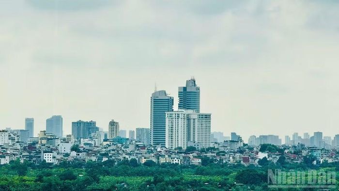 Thị trường đang ghi nhận sự dịch chuyển của hành trình tiếp cận khách hàng dưới tác động của AI. (Ảnh: HNV)