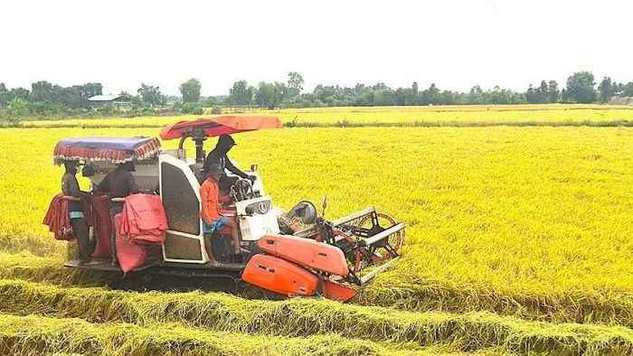 Tây Ninh đang đẩy mạnh ứng dụng công nghệ cao, sản xuất xanh, tuần hoàn
