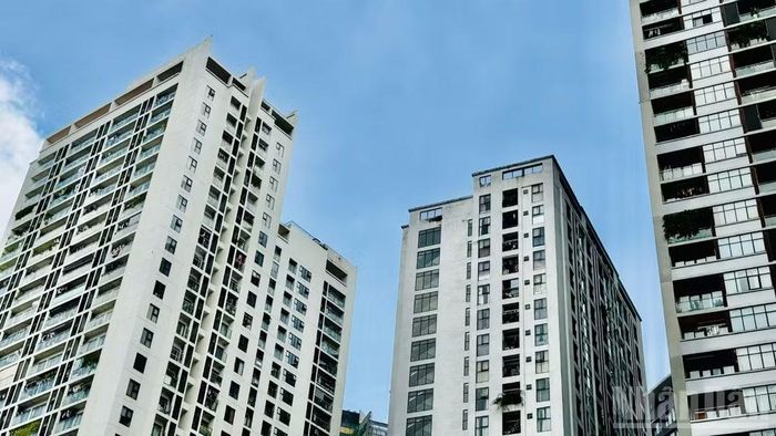 Cần lộ trình phù hợp để tránh gây xáo trộn thị trường. (Ảnh: HNV)