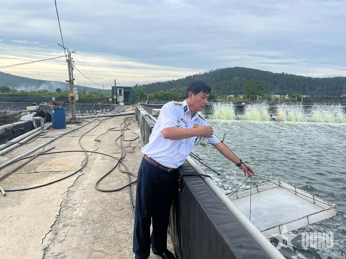 Cựu chiến binh Nguyễn Văn Kiên kiểm tra môi trường nước tại một ao nuôi tôm.