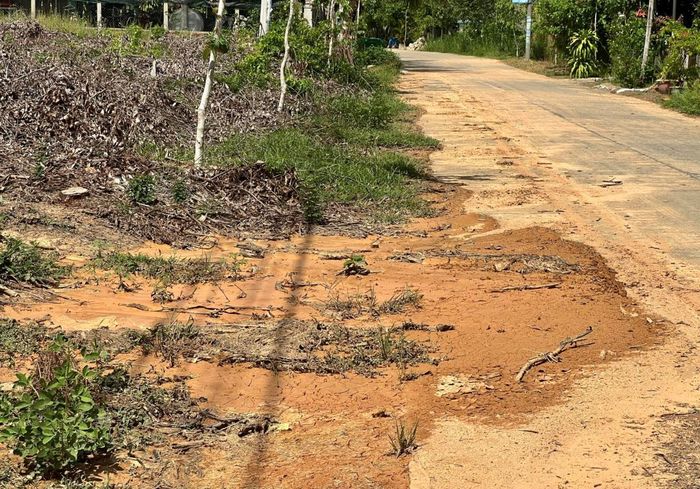Đất dự án còn tràn xuống đường dân sinh.