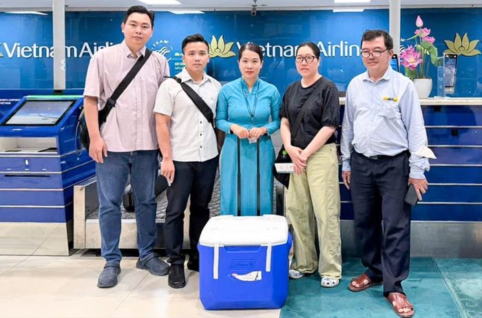  Các bác sĩ vận chuyển thận hiến từ Quảng Ninh về TPHCM trên chuyến bay ngày 26-7. 