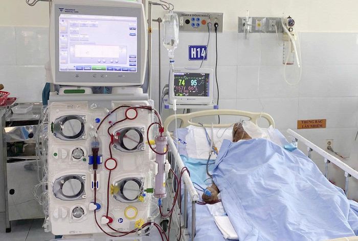 Người bệnh với gần 80 nốt đốt do ong vò vẽ được thực hiện lọc máu liên tục, qua cơn nguy kịch