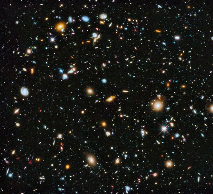 Ảnh: scienceblogs