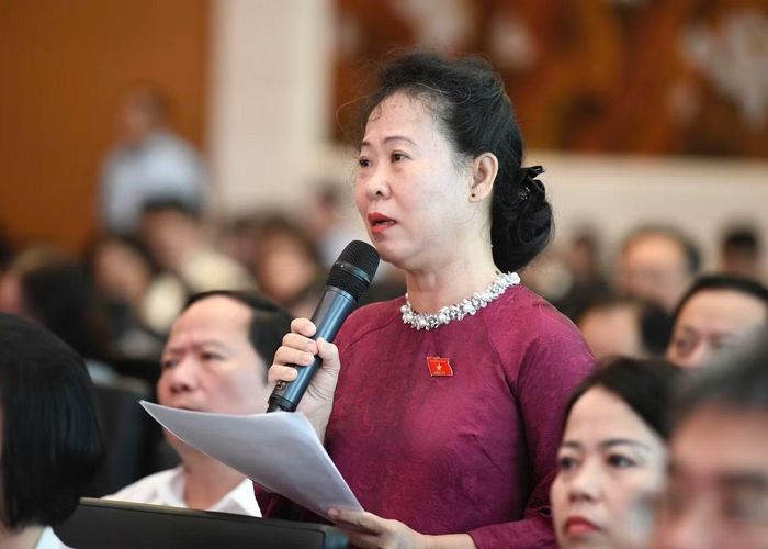 Đại biểu Tô Ái Vang. Ảnh: Như Ý