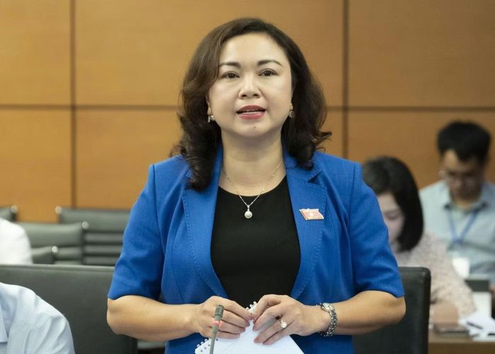 ĐBQH Đặng Bích Ngọc. Ảnh: QH