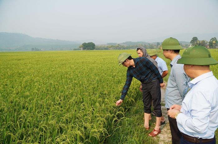 Lãnh đạo phường Hải Lĩnh, tỉnh Thanh Hóa kiểm tra đồng ruộng trước mùa mưa bão. Ảnh: hailinh.thanhhoa.gov.vn