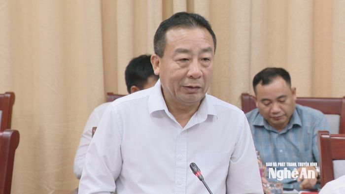 Phó Chủ tịch UBND tỉnh Nguyễn Văn Đệ phát biểu tại buổi làm việc. Ảnh: Thanh Nhàn