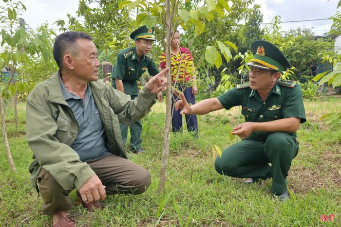 BĐBP Hòa Hải động viên gia đình ông Phan Văn Thân ở thôn Thống Nhất (xã Hương Bình) phát triển cây gió trầm.